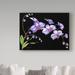 Trademark Fine Art 'Orchids Purple Black' Print on Wrapped Canvas in Green/Indigo/White | 14 H x 19 W x 2 D in | Wayfair ALI37522-C1419GG