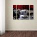 Charlton Home® ' Vison' 3 Piece Photographic Print on Wrapped Canvas Set Metal in Red | 24 H x 32 W x 2 D in | Wayfair