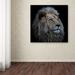 World Menagerie 'Proud Lion' Photographic Print on Wrapped Canvas in Black | 35 H x 35 W x 2 D in | Wayfair 3D53E63296C145FD8850CB198EF759C6