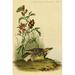 Buyenlarge Missouri Meadow Lark by John James Audubon - Unframed Graphic Art Print in White | 36 H x 24 W x 1.5 D in | Wayfair 0-587-64728-LC2436