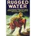 Buyenlarge Rugged Water - Unframed Advertisements Print in Brown/Red | 66 H x 44 W x 1.5 D in | Wayfair 0-587-62674-LC4466