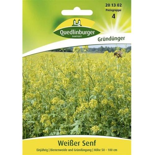 Quedlinburger Saatgut - Gelbsenf | Gründünger von Quedlinburger