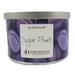 Star Hollow Candle Company Sugar Plums Scented Jar Candle Soy, Glass in Indigo | 3.25 H x 5 W x 5 D in | Wayfair LSLJWH-S