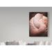 Bay Isle Home™ 'Chilean Flamingo I' Photographic Print on Wrapped Canvas in Black/Brown/Pink | 24 H x 18 W x 2 D in | Wayfair