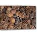 Millwood Pines California, Inyo Nf Bristlecone Tree Pine Cones by Don Paulson - Photograph Print on Canvas in Brown | 11 H x 16 W x 1.5 D in | Wayfair