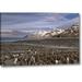 Millwood Pines South Georgia Island, King Penguin Colony by Don Paulson - Photograph Print on Canvas in Blue/Brown | 10 H x 16 W x 1.5 D in | Wayfair