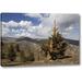 Millwood Pines 'California, White Mts Ancient Bristlecone Pine' Photographic Print on Wrapped Canvas in Green/White | 10 H x 16 W x 1.5 D in | Wayfair