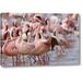 World Menagerie 'Kenya, Lake Nakuru Np Flamingos on Lake Nakuru' Photographic Print on Wrapped Canvas Metal in Red | 21 H x 32 W x 1.5 D in | Wayfair