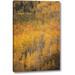 Millwood Pines Co, Gunnison Nf Aspen Forest at Peak Autumn by Don Grall - Photograph Print on Canvas in Green/Yellow | Wayfair