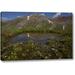 Millwood Pines 'Co, San Juan Mts Pond Lined w/ Marsh Marigold' Photographic Print on Wrapped Canvas in Blue/Brown/Green | Wayfair