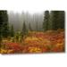 Millwood Pines 'Wa, Mount Rainier Np Path Through Autumn Meadow' Photographic Print on Wrapped Canvas in Green/Red | 16 H x 24 W x 1.5 D in | Wayfair