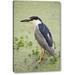 World Menagerie 'Sc, Charleston Black-Crowned Night Heron' Photographic Print on Wrapped Canvas in Gray/Green | 24 H x 16 W x 1.5 D in | Wayfair