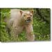 Millwood Pines 'Canada, Bc, Princess Royal Is Spirit Bear Mask' Photographic Print on Wrapped Canvas in Brown/Green | Wayfair