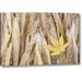 Millwood Pines 'Wa, Seabeck Maple Leaf on Japanese Forest Grass' Photographic Print on Wrapped Canvas Canvas | 11 H x 16 W x 1.5 D in | Wayfair