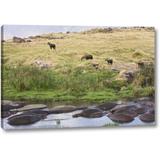 World Menagerie 'Tanzania, Ngorongoro Hippos' Photographic Print on Wrapped Canvas in Brown/Green | 10 H x 16 W x 1.5 D in | Wayfair