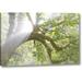 Millwood Pines 'Wa, Seabeck Morning Sun Through Foggy Trees' Photographic Print on Wrapped Canvas in Brown/Green | 32 H x 21 W x 1.5 D in | Wayfair