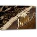 World Menagerie CO, Mt Evans Mountain Goat Playing on Rock by Cathy - Gordon Illg - Wrapped Canvas Photograph Print in Brown | Wayfair