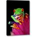 World Menagerie 'Captive Red-Eyed Tree Frog on Bromeliad Flower' Photographic Print on Wrapped Canvas in Green/Pink/Red | Wayfair