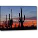 World Menagerie AZ, Sonoran Desert Saguaro Cacti & Sunset by Cathy - Gordon Illg - Photograph Print on Canvas in Black/Blue/Orange | Wayfair