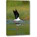 World Menagerie TX, Mcallen Wild Black-Necked Stilts Mating by Dave Welling - Photograph Print on Canvas in Black/Green | Wayfair