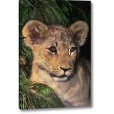 World Menagerie CA, Los Angeles Co, African Lion Cub by Dave Welling - Photograph Print on Canvas in Brown/Green | 16 H x 10 W x 1.5 D in | Wayfair