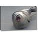 World Menagerie 'CA, San Diego Co Harbor Seal Yawning on Beach' Photographic Print on Wrapped Canvas in Gray | 16 H x 24 W x 1.5 D in | Wayfair