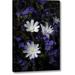 Winston Porter 'CA, Anza-Borrego Chicory & Phacelia Flowers' Photographic Print on Wrapped Canvas in Blue/White | 24 H x 16 W x 1.5 D in | Wayfair