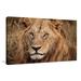 World Menagerie 'King of The Wild II' Photographic Print Metal in Yellow | 24 H x 40 W x 1.5 D in | Wayfair 44C2DDA6FE044E52A0619E979E58F499