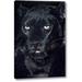 World Menagerie 'CA, Los Angeles, Portrait of Black Jaguar Adult' Photographic Print on Wrapped Canvas in Green | 24 H x 16 W x 1.5 D in | Wayfair