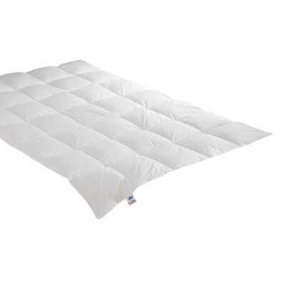 Badenia »Irisette Nora« Daunendecke extra warm / 155x200 cm / 1370g Image