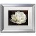 Winston Porter 'Double White Tulip' Framed Photographic Print on Canvas Canvas, Wood | 19.5 H x 23.5 W x 1.25 D in | Wayfair