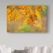 Winston Porter 'Autumn Oak Leaves' Photographic Print on Wrapped Canvas Metal in Green/Yellow | 22 H x 32 W x 2 D in | Wayfair