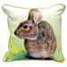 Winston Porter Simonds Rabbit Outdoor Square Pillow Cover & Insert Polyester/Polyfill blend | 18 H x 18 W x 4 D in | Wayfair