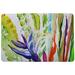 Bay Isle Home™ Upton Bird of Paradise Non-Slip Outdoor/Indoor Door Mat Synthetics | Rectangle 2'6" x 4'2" | Wayfair