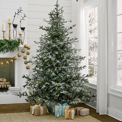 Christmas Aspen Pine Flocked Tree - 9' - Grandin R...