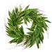 Vickerman 521687 - 24" Green Willow White Berries Wreath (FK180224) Home Office Wreath