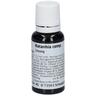 Ratanhia COMP.äußerlich Lösung 20 ml