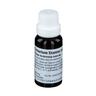 Cichorium Stanno cultum Rh D 3 Dilution 20 ml