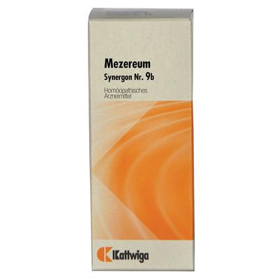 Synergon Komplex 9b Mezereum Tropfen 50 ml Image