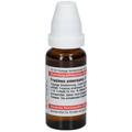 Fraxinus Americana D 4 Dilution 20 ml