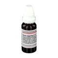 Serum Anguillae D 12 Dilution 20 ml