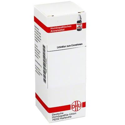 Sambucus Nigra Urtinktur 20 ml Dilution Image