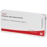 Cerebrum Regio motorica GL D 15 Ampullen 10x1 ml