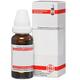 Staphisagria C 200 Dilution 20 ml