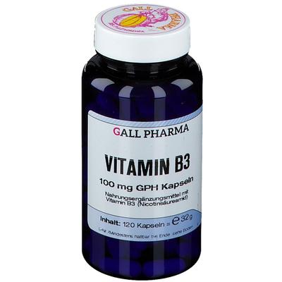 Vitamin B3 100 mg GPH Kapseln 120 St Image