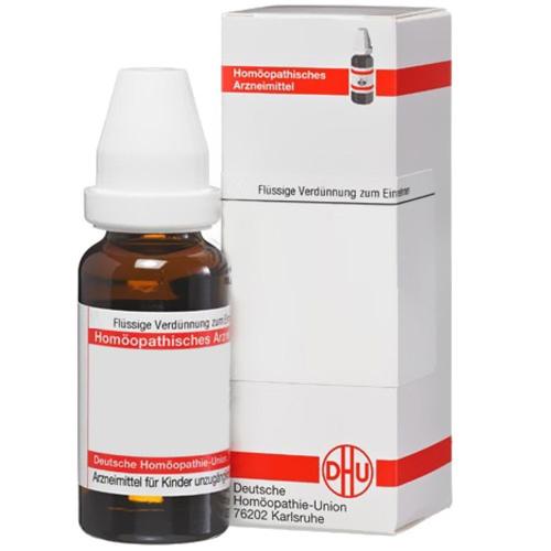 Ginkgo Biloba D 12 Dilution 20 ml