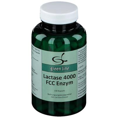 Lactase 4.000 FCC Enzym Kapseln 200 St Image