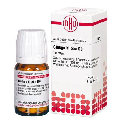 Ginkgo Biloba D 6 Tabletten 80 St Image