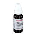 Filix D 4 Dilution 20 ml