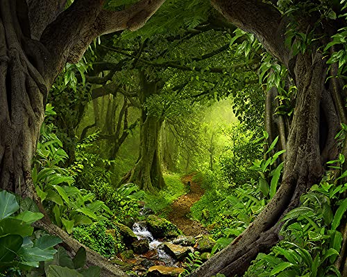 Haosphoto 10X8FT Tropical Forest Backdrop for Photography Jungle Woods Backdrops Cascade Rainforest Spring Background for Birthday Cake Smash Kids Safari Birthday Wedding Photo Studio Props Vinyl HL02